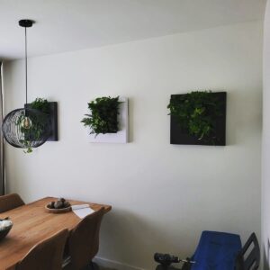 Project plantenschilderij