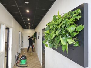 Onderhoud groene plantenschilderijen