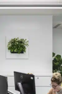 Plantschilderij op kantoor witte lijst